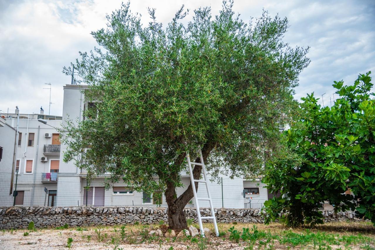 Ferienwohnung Trulli Dimora Palmisano Locorotondo Exterior foto